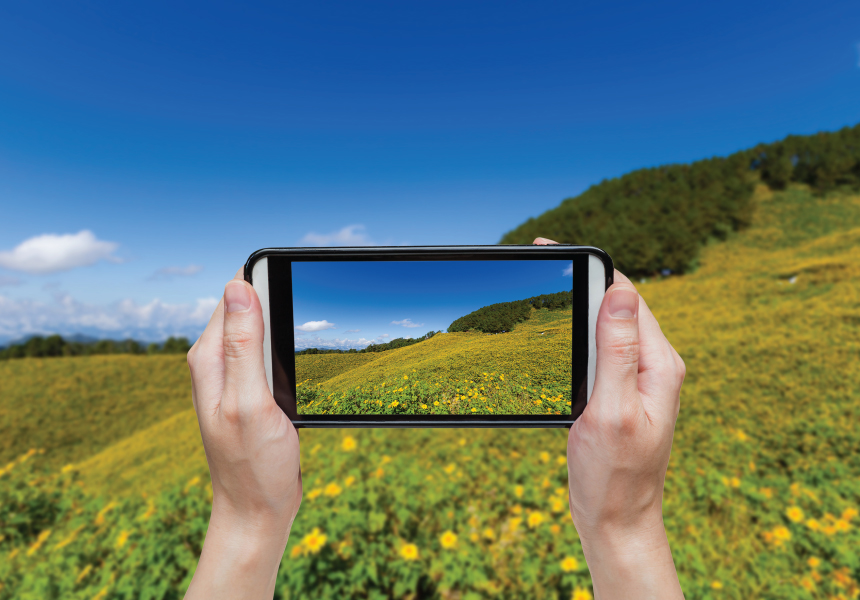 El auge de los celulares plegables: ¿el futuro de los smartphones?